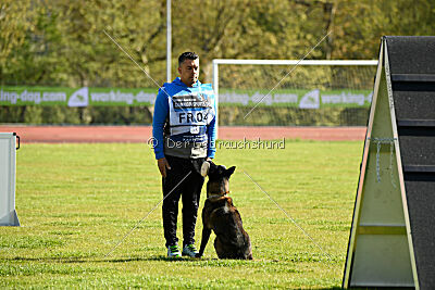 Intox du Banc des Hermelles