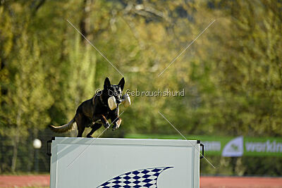 Intox du Banc des Hermelles