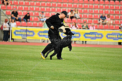 Invicta Gigas Earl of Litim