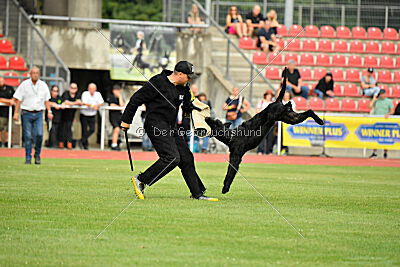 Invicta Gigas Earl of Litim