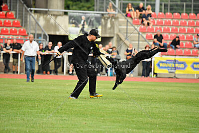 Invicta Gigas Earl of Litim