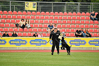 Invicta Gigas Earl of Litim