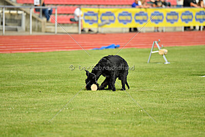 Invicta Gigas Earl of Litim