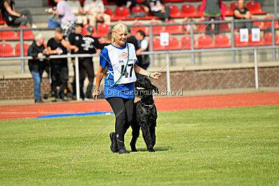 Invicta Gigas Earl of Litim