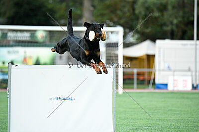 Ipet von den Wichtelhäusern