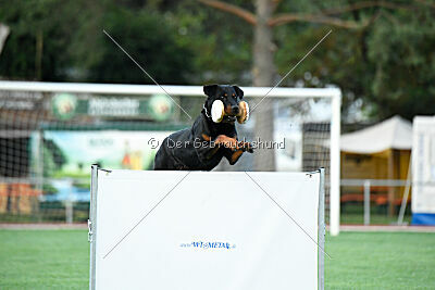 Ipet von den Wichtelhäusern