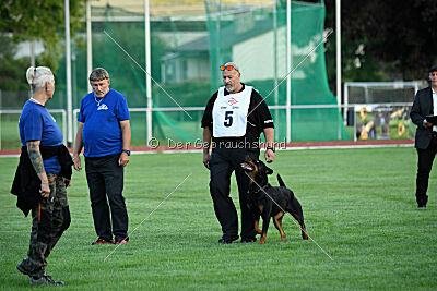 Ipet von den Wichtelhäusern