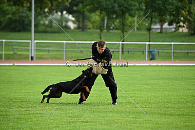 Ipet von den Wichtelhäusern