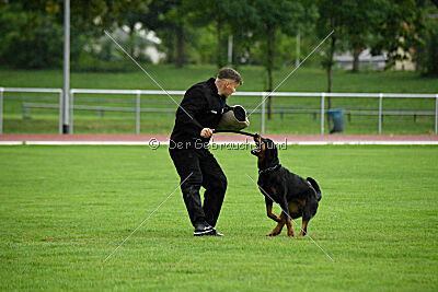 Ipet von den Wichtelhäusern