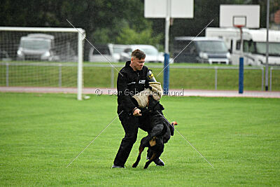 Ipet von den Wichtelhäusern