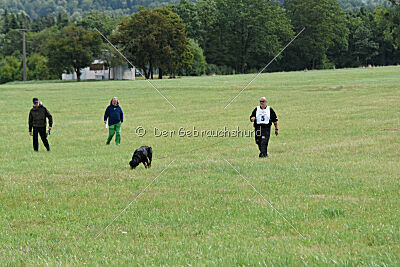 Ipet von den Wichtelhäusern
