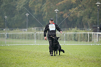 Irak vom schwarzen Bär