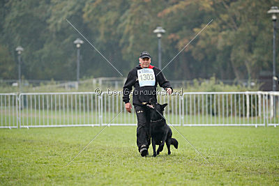 Irak vom schwarzen Bär
