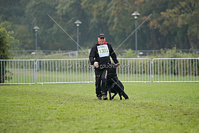 Irak vom schwarzen Bär
