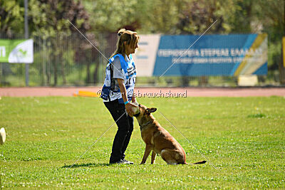 Iris Veranis K-9 Dog Center