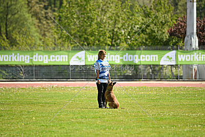 Iris Veranis K-9 Dog Center