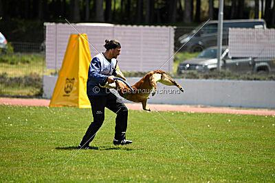 Iris Veranis K-9 Dog Center