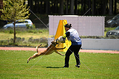 Iris Veranis K-9 Dog Center