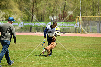 Iris Veranis K-9 Dog Center