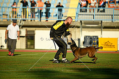 Irmo Cwinta van de Maas-Niers Vallei