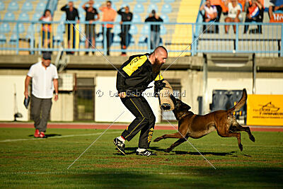 Irmo Cwinta van de Maas-Niers Vallei