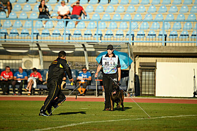 Irmo Cwinta van de Maas-Niers Vallei