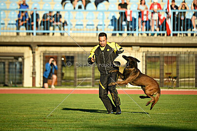 Irmo Cwinta van de Maas-Niers Vallei