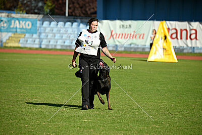 Irmo Cwinta van de Maas-Niers Vallei