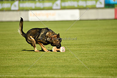 Irock vom Spektefeld
