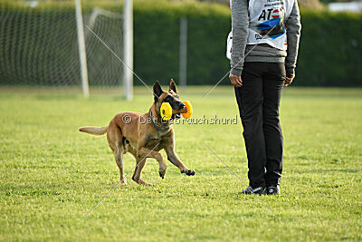 Irokk vom Streitwald