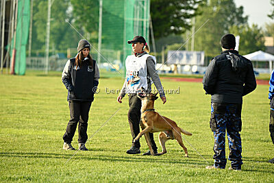 Irokk vom Streitwald