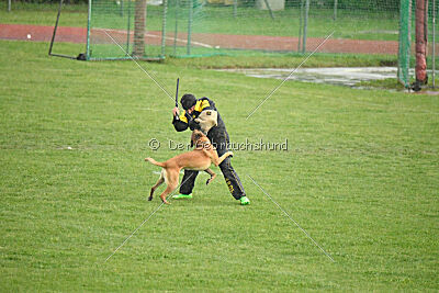 Irokk vom Streitwald