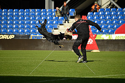 Iska von der Eisspitzen