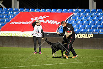 Iska von der Eisspitzen