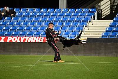 Iska von der Eisspitzen