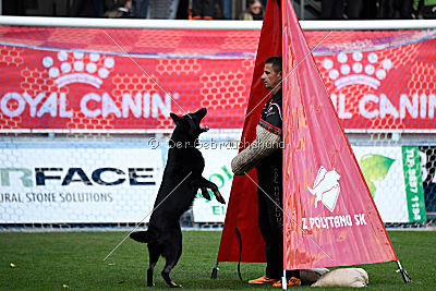 Iska von der Eisspitzen