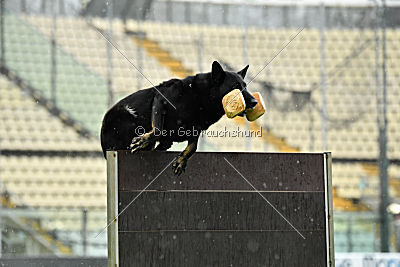 Iska von der Eisspitzen