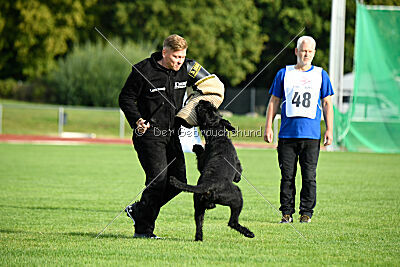 Isko vom Seddiner See