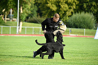 Isko vom Seddiner See