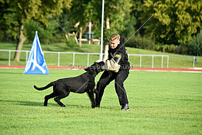 Isko vom Seddiner See
