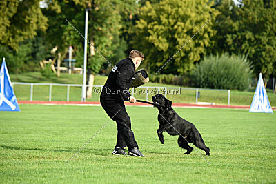 Isko vom Seddiner See