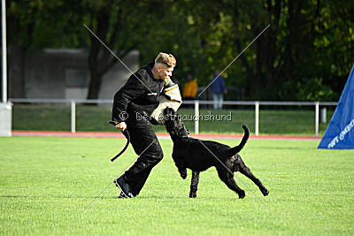 Isko vom Seddiner See