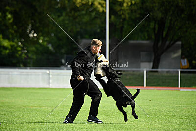 Isko vom Seddiner See