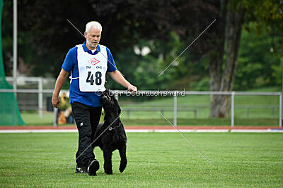 Isko vom Seddiner See