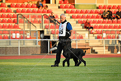 Isko vom Seddiner See