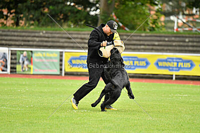 Isko vom Seddiner See