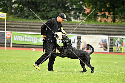 Isko vom Seddiner See