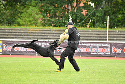 Isko vom Seddiner See