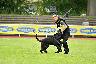 Isko vom Seddiner See