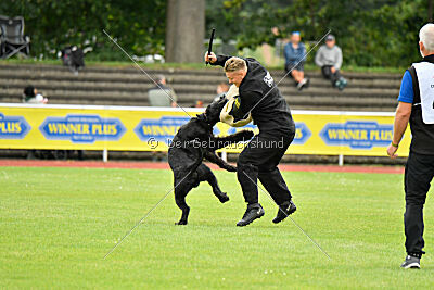 Isko vom Seddiner See